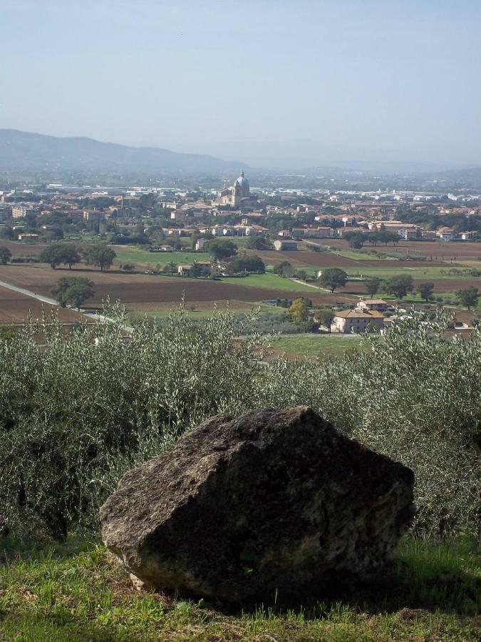 Casa Per Ferie Ulivo D'Assisi Villa Exterior photo