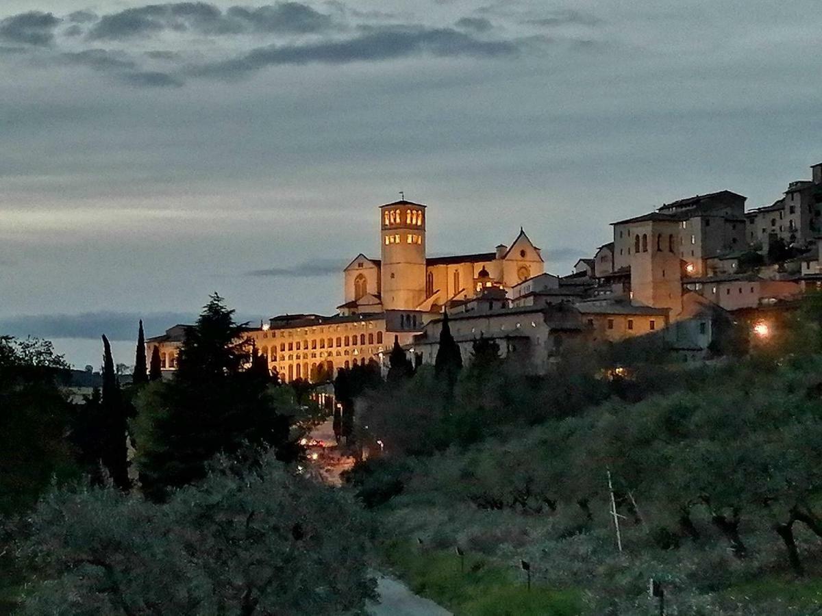 Casa Per Ferie Ulivo D'Assisi Villa Exterior photo