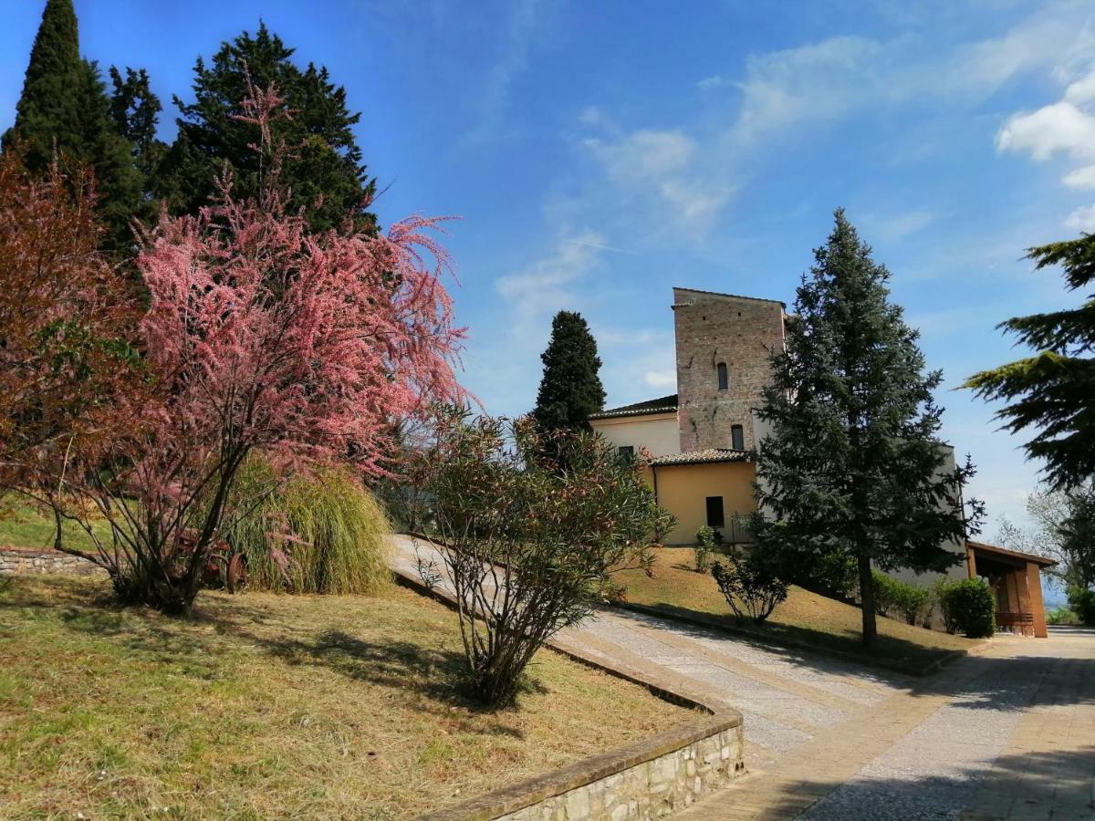 Casa Per Ferie Ulivo D'Assisi Villa Exterior photo